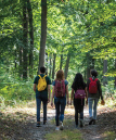 Â LA DÉCOUVERTE DE LA FORÊT