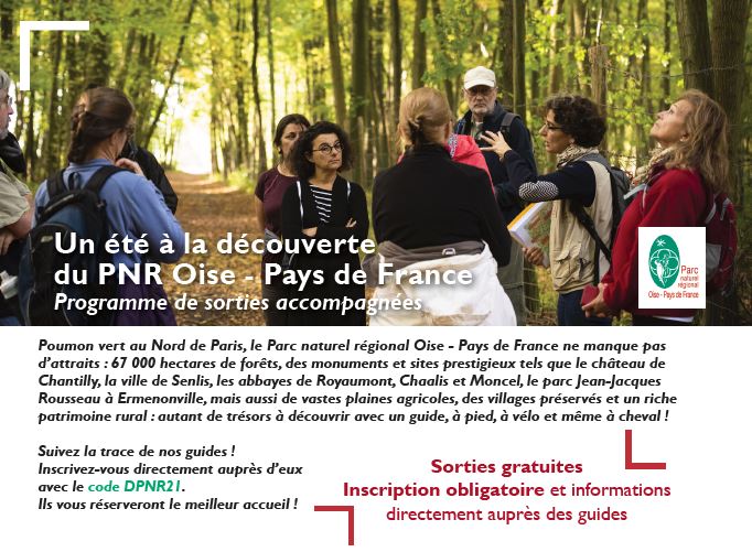 Jeu familial grandeur nature : à la recherche du trésor