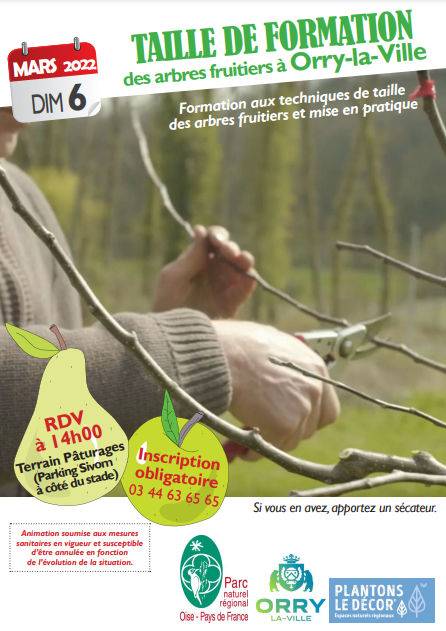 Atelier taille de formation des arbres fruitiers