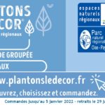 Plantons le décor