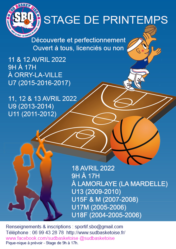 Stage de basket
