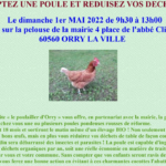 Opération "Adoptez une poule"