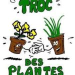 Troc de plantes