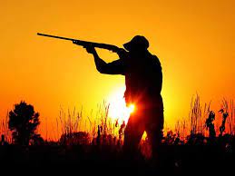 Calendrier de chasse