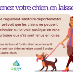 Tenez votre chien en laisse !