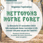 Nettoyage de la forêt