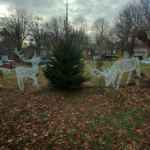 Orry aux couleurs de Noël