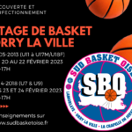 Stage de basket