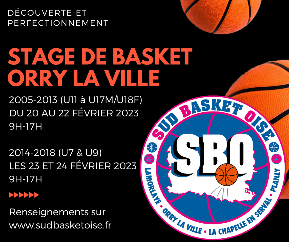 Stage de basket