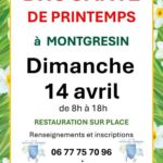 Brocante de Montgresin