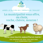 La municipalité vous offre au choix vache, chèvre ou mouton
