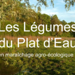 Création d'une micro-ferme agro-écologique à Orry : "Les légumes du Plat d'Eau"