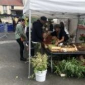 Retour sur la Fête des Mères