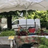 Les Légumes du Plat d’Eau en circuit court dès mardi