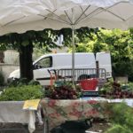 Les Légumes du Plat d'Eau en circuit court dès mardi