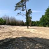 La décharge sauvage a été nettoyée