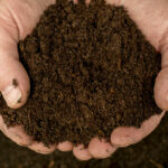 Distribution de compost