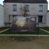 L’opération La Beauté sauvera le Monde est lancée