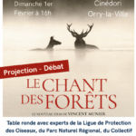 CINEDORI : LE CHANT DES FORÊTS