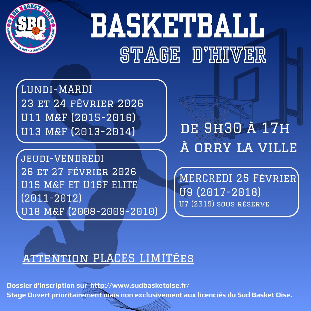 Stage de Basket
