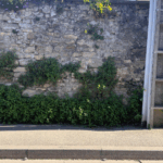 Entretenons nos trottoirs !